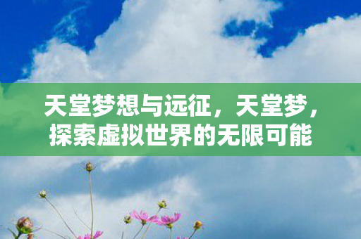 天堂梦想与远征，天堂梦，探索虚拟世界的无限可能