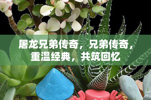 屠龙兄弟传奇，兄弟传奇，重温经典，共筑回忆