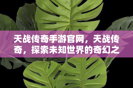 天战传奇手游官网，天战传奇，探索未知世界的奇幻之旅