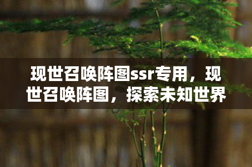 现世召唤阵图ssr专用，现世召唤阵图，探索未知世界的神秘之门