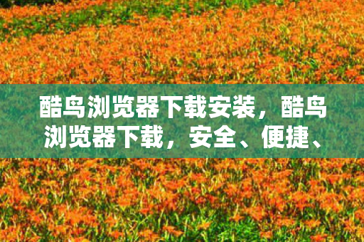 酷鸟浏览器下载安装，酷鸟浏览器下载，安全、便捷、高效的浏览器选择