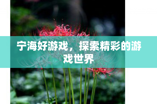 宁海好游戏，探索精彩的游戏世界