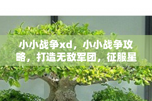 小小战争xd，小小战争攻略，打造无敌军团，征服星际战场