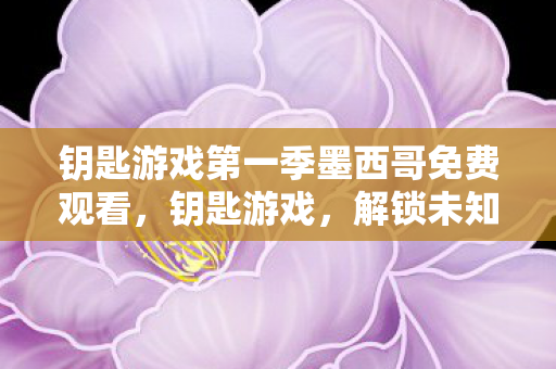 钥匙游戏第一季墨西哥免费观看，钥匙游戏，解锁未知世界的奇幻之旅