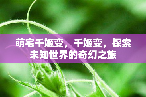 萌宅千姬变，千姬变，探索未知世界的奇幻之旅