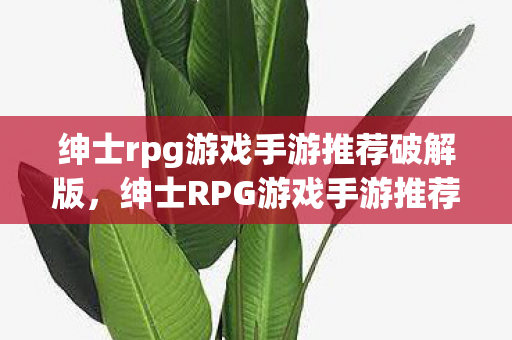 绅士rpg游戏手游推荐破解版，绅士RPG游戏手游推荐，探索浪漫与冒险的奇幻之旅