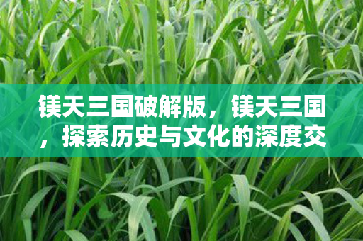 镁天三国破解版，镁天三国，探索历史与文化的深度交汇