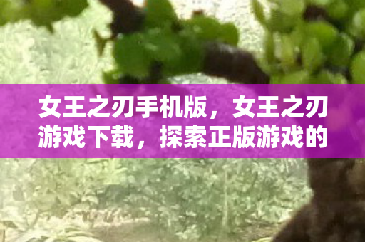 女王之刃手机版，女王之刃游戏下载，探索正版游戏的魅力