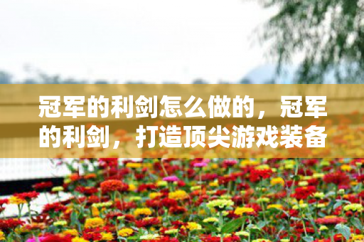 冠军的利剑怎么做的，冠军的利剑，打造顶尖游戏装备的策略与心得