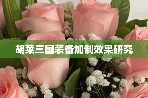 胡莱三国装备加制效果研究