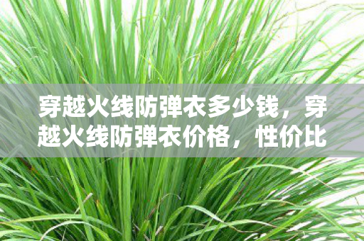 穿越火线防弹衣多少钱，穿越火线防弹衣价格，性价比与游戏乐趣的完美结合