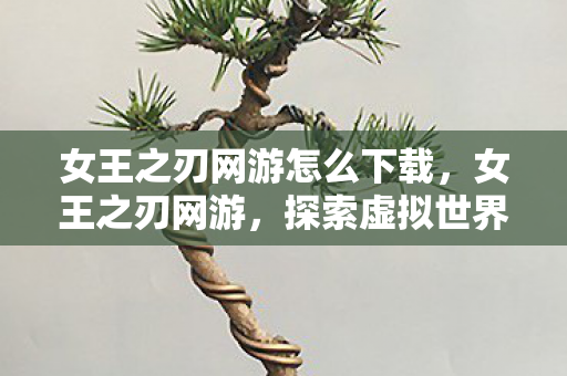 女王之刃网游怎么下载，女王之刃网游，探索虚拟世界的无限可能