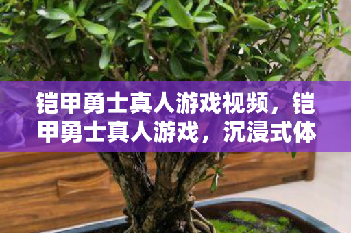 铠甲勇士真人游戏视频，铠甲勇士真人游戏，沉浸式体验与互动冒险