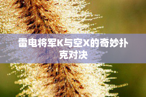 雷电将军K与空X的奇妙扑克对决