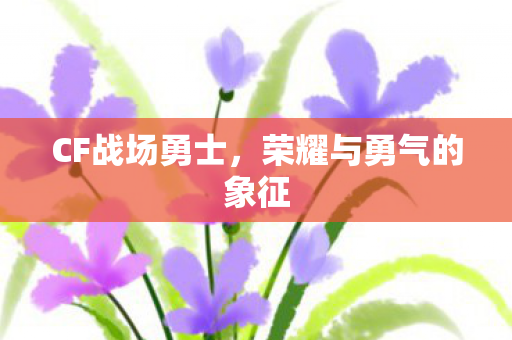 CF战场勇士，荣耀与勇气的象征
