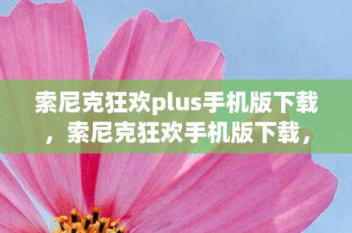 索尼克狂欢plus手机版下载，索尼克狂欢手机版下载，重温经典，随时随地畅享游戏乐趣