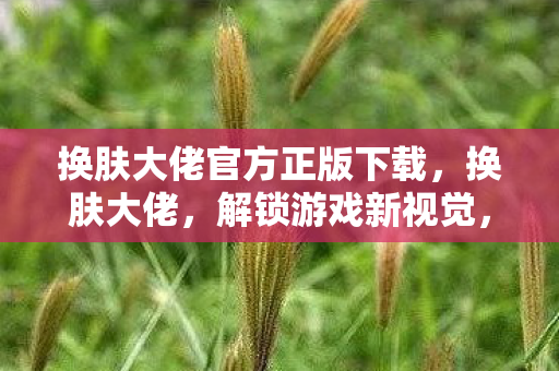 换肤大佬官方正版下载，换肤大佬，解锁游戏新视觉，探索个性化皮肤的无限可能