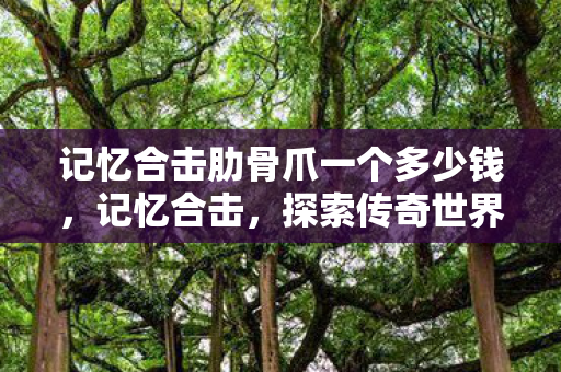 记忆合击肋骨爪一个多少钱，记忆合击，探索传奇世界的独特魅力