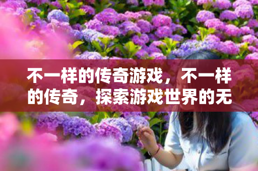不一样的传奇游戏，不一样的传奇，探索游戏世界的无限可能