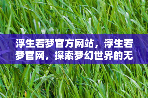 浮生若梦官方网站，浮生若梦官网，探索梦幻世界的无限可能