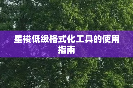 星梭低级格式化工具的使用指南