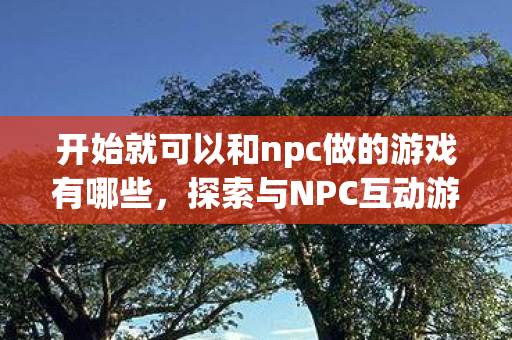 开始就可以和npc做的游戏有哪些，探索与NPC互动游戏的奇妙世界