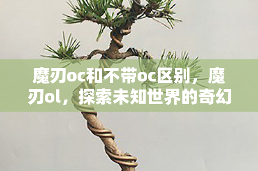 魔刃oc和不带oc区别，魔刃ol，探索未知世界的奇幻之旅