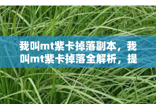 我叫mt紫卡掉落副本，我叫mt紫卡掉落全解析，提升掉落率与获取攻略