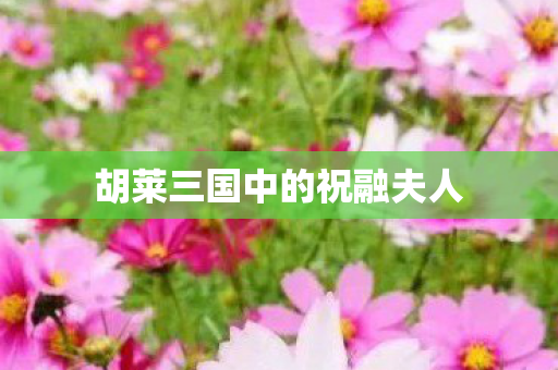 胡莱三国中的祝融夫人