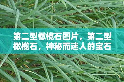 第二型橄榄石图片，第二型橄榄石，神秘而迷人的宝石