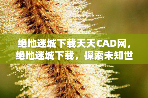 绝地迷城下载天天CAD网，绝地迷城下载，探索未知世界的冒险之旅