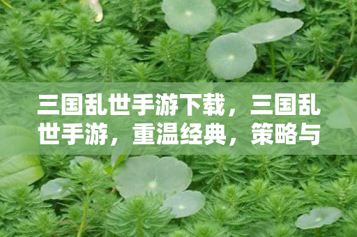 三国乱世手游下载，三国乱世手游，重温经典，策略与激情的碰撞