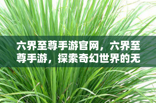 六界至尊手游官网，六界至尊手游，探索奇幻世界的无尽冒险