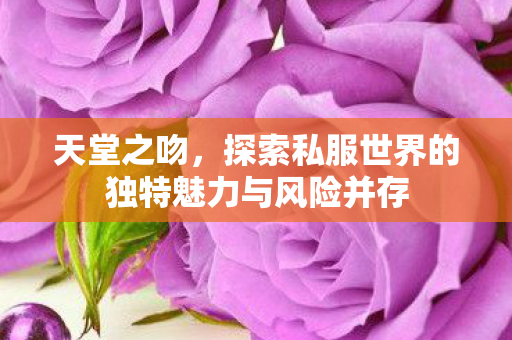 天堂之吻，探索私服世界的独特魅力与风险并存