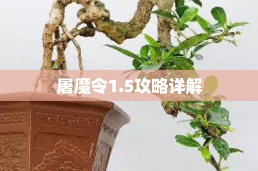 屠魔令1.5攻略详解