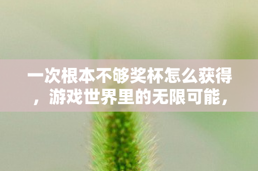 一次根本不够奖杯怎么获得，游戏世界里的无限可能，探索虚拟世界的深层魅力