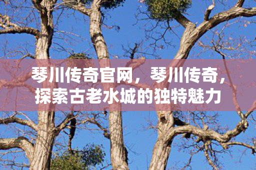 琴川传奇官网，琴川传奇，探索古老水城的独特魅力