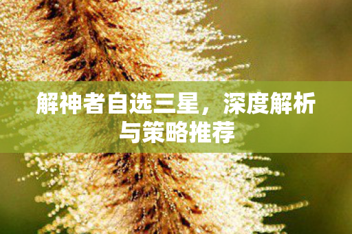 解神者自选三星，深度解析与策略推荐