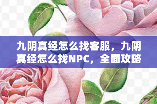 九阴真经怎么找客服，九阴真经怎么找NPC，全面攻略与实用技巧