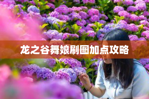 龙之谷舞娘刷图加点攻略