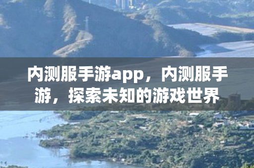 内测服手游app，内测服手游，探索未知的游戏世界