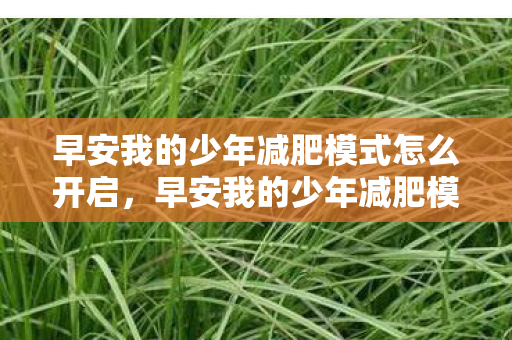 早安我的少年减肥模式怎么开启，早安我的少年减肥模式，科学瘦身，健康生活的秘诀