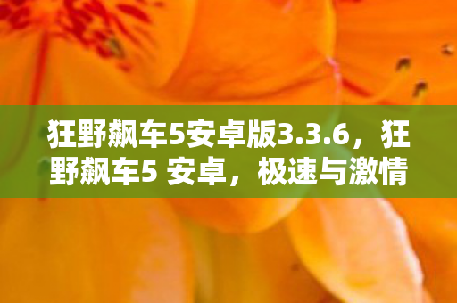 狂野飙车5安卓版3.3.6，狂野飙车5 安卓，极速与激情的指尖盛宴