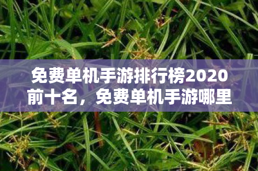 免费单机手游排行榜2020前十名，免费单机手游哪里下载？权威平台推荐与指南