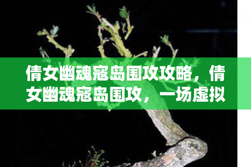 倩女幽魂寇岛围攻攻略，倩女幽魂寇岛围攻，一场虚拟世界的史诗战役