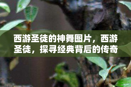 西游圣徒的神舞图片，西游圣徒，探寻经典背后的传奇故事