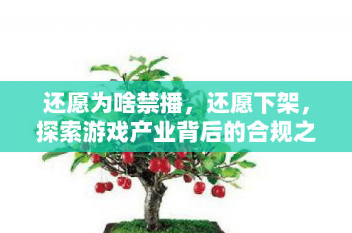 还愿为啥禁播，还愿下架，探索游戏产业背后的合规之路