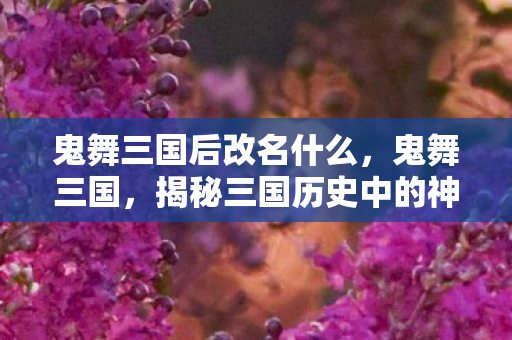 鬼舞三国后改名什么，鬼舞三国，揭秘三国历史中的神秘舞蹈