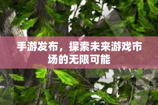 手游发布，探索未来游戏市场的无限可能