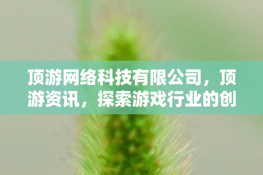 顶游网络科技有限公司，顶游资讯，探索游戏行业的创新与发展